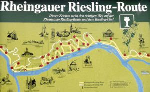 Top 20 Most Beautiful Road Biking Routes in the Rheingau